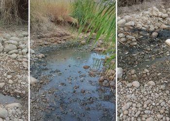 مرگ‌ هزاران ماهی در رودخانه چرداول ایلام